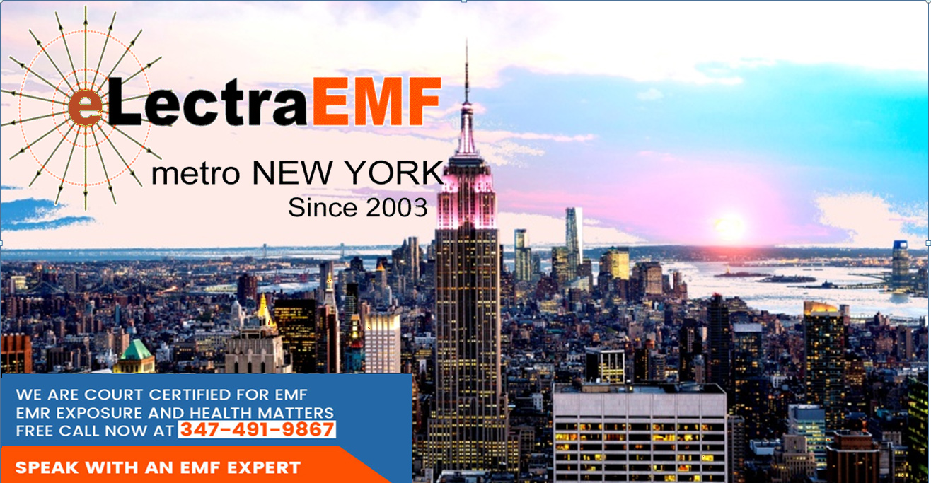 electraEMF New York City 10002 zip  EMF  testing EXPERT -copyright trademark 